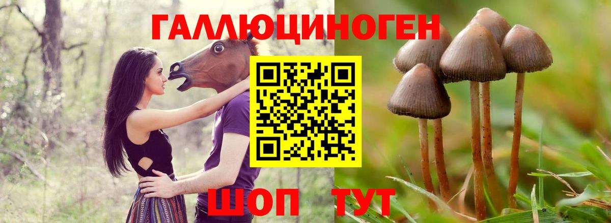 Псилоцибиновые грибы прущие грибы  Вход с VPN  Нягань 